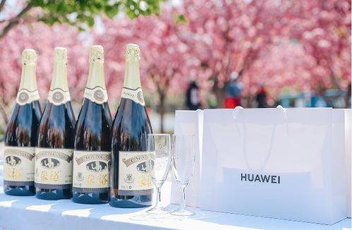 煙臺城市微度假 醉美海岸 騎遇四季 活動啟動 發布五條精品騎行線路